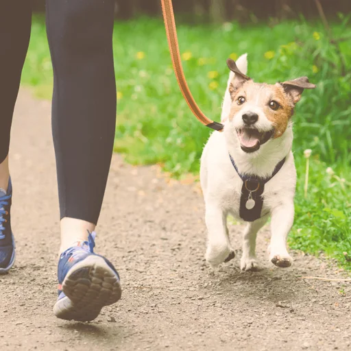 Mascotas & naturaleza